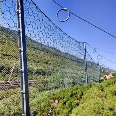 Plasa de protectie pasiva a pantelor